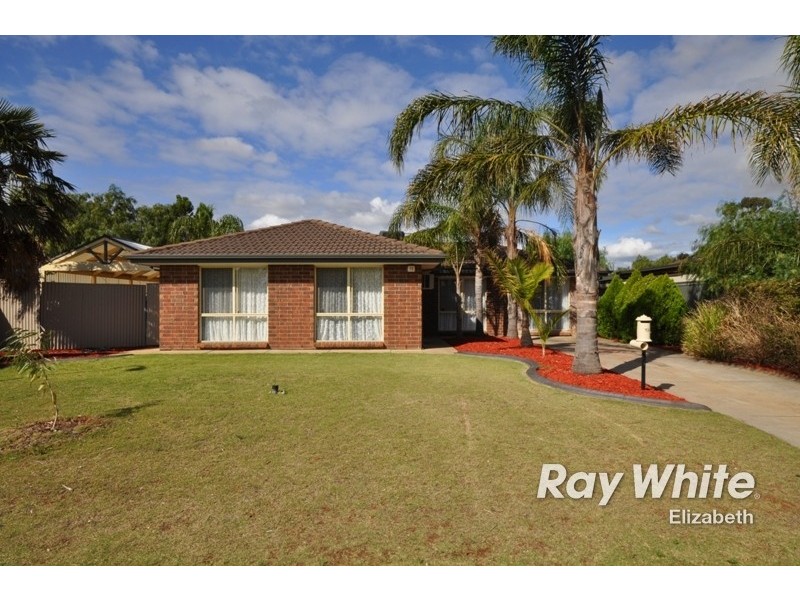 19 Riddoch Drive, Andrews Farm SA 5114