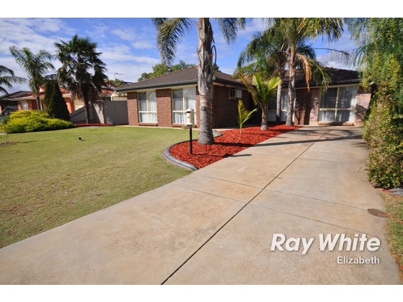 19 Riddoch Drive, Andrews Farm SA 5114
