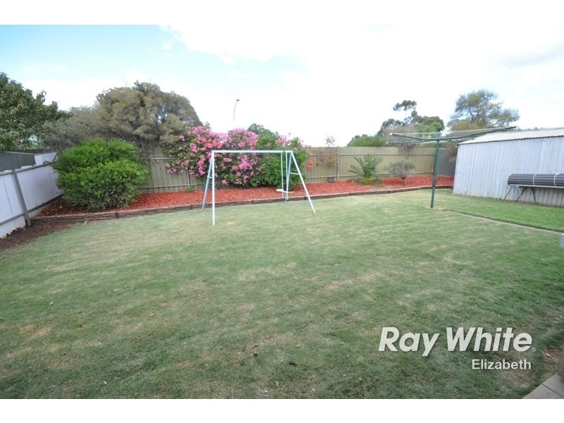 19 Riddoch Drive, Andrews Farm SA 5114