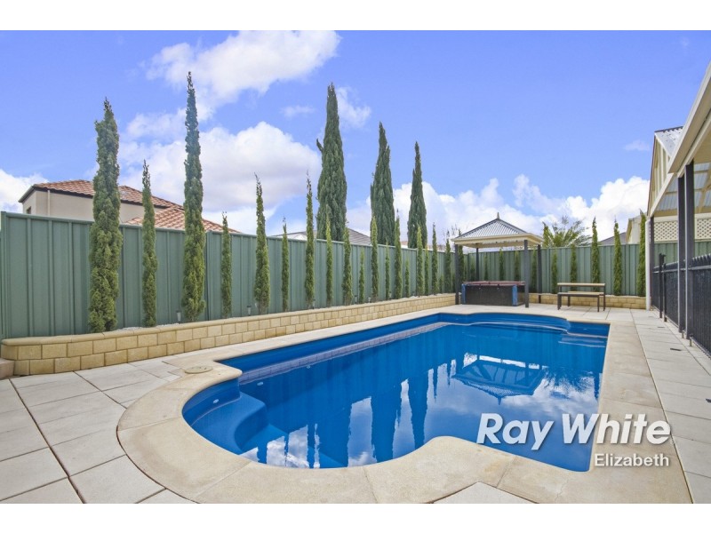 2 Cobblers Court, Mawson Lakes SA 5095