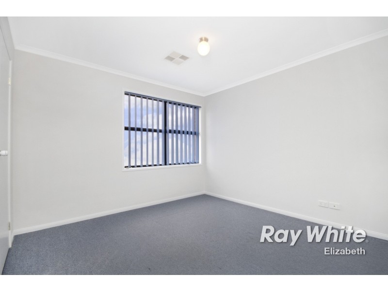 2 Cobblers Court, Mawson Lakes SA 5095
