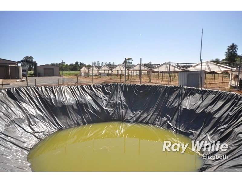 340 Hillier Road, Hillier SA 5116