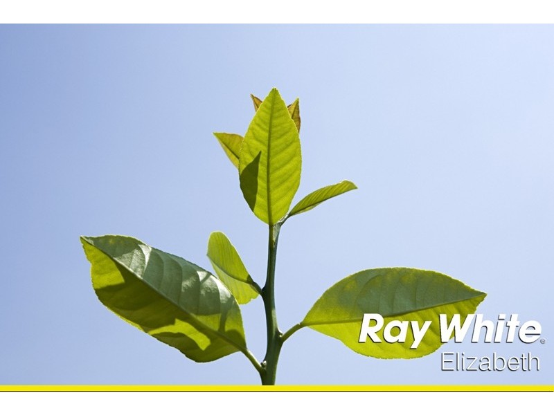 Lot 102 Bartlett Street, Elizabeth Downs SA 5113