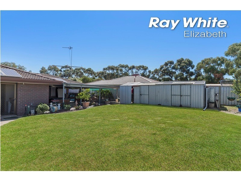 22 Window Road, Willaston SA 5118