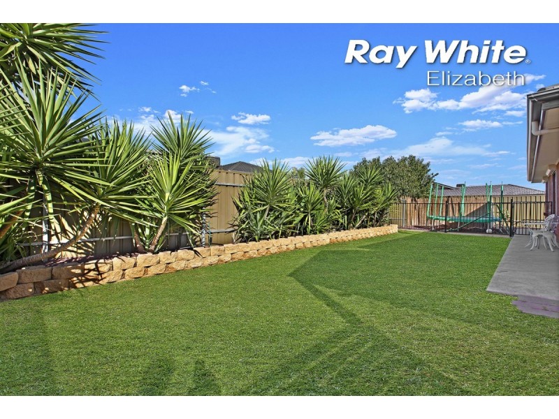 6 Princes Court, Andrews Farm SA 5114