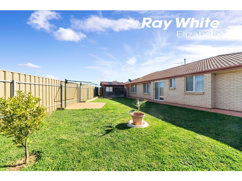 17 Premier Close, Andrews Farm SA 5114