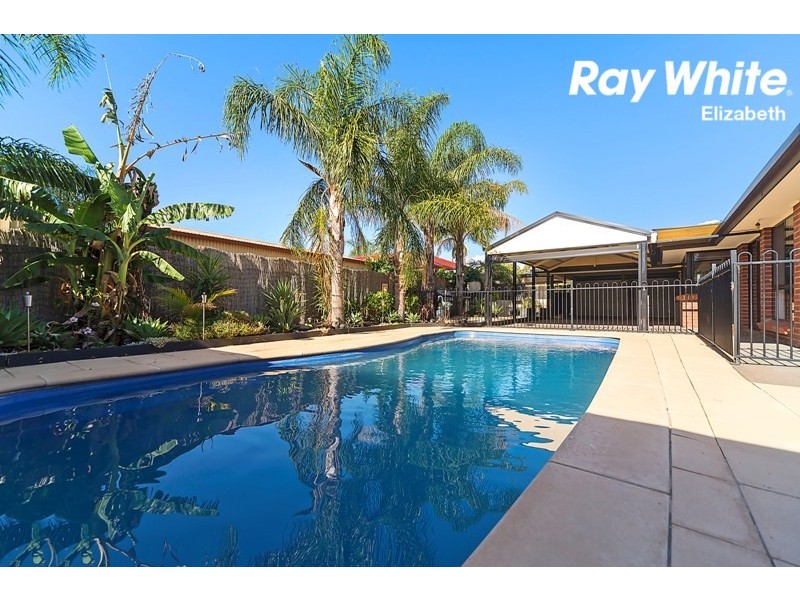 12 Everard Avenue, Andrews Farm SA 5114