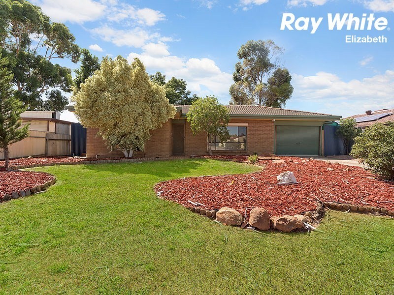 9 President Avenue, Andrews Farm SA 5114
