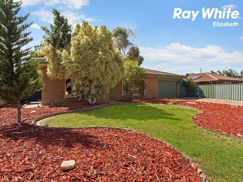 9 President Ave, Andrews Farm SA 5114