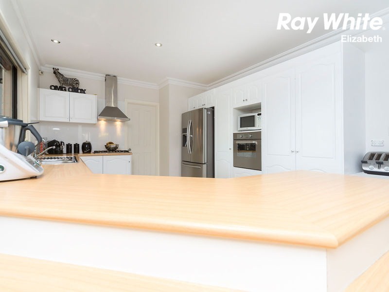 41 Bushmills St, Greenwith SA 5125