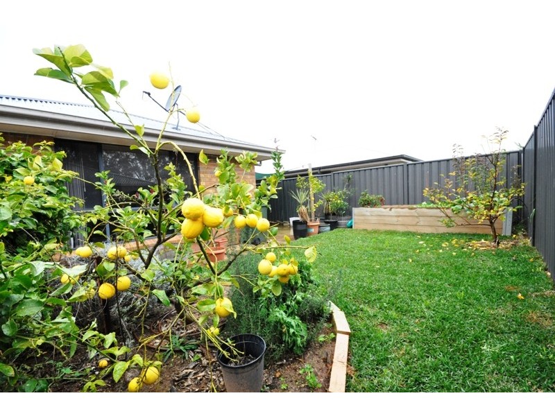 21 Chateau Avenue, Andrews Farm SA 5114