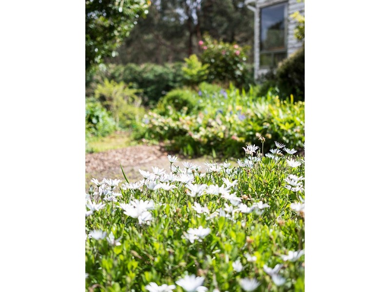 14 Branch Road, Stirling SA 5152