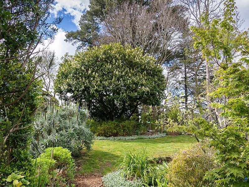 14 Branch Road, Stirling SA 5152