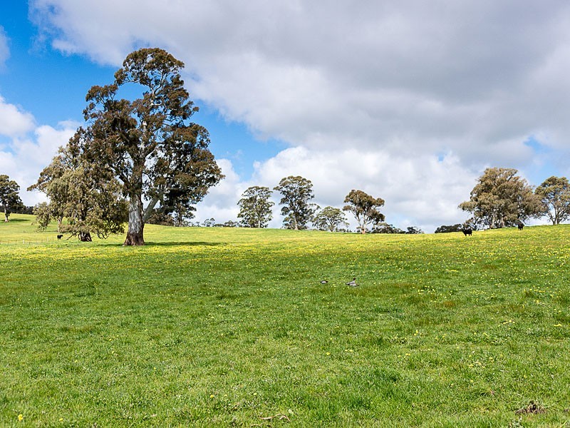 164 Downers Road, Oakbank SA 5243