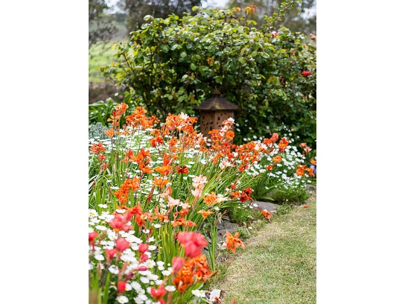 164 Downers Road, Oakbank SA 5243