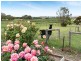 12 Harrogate Road, Dawesley SA 5252