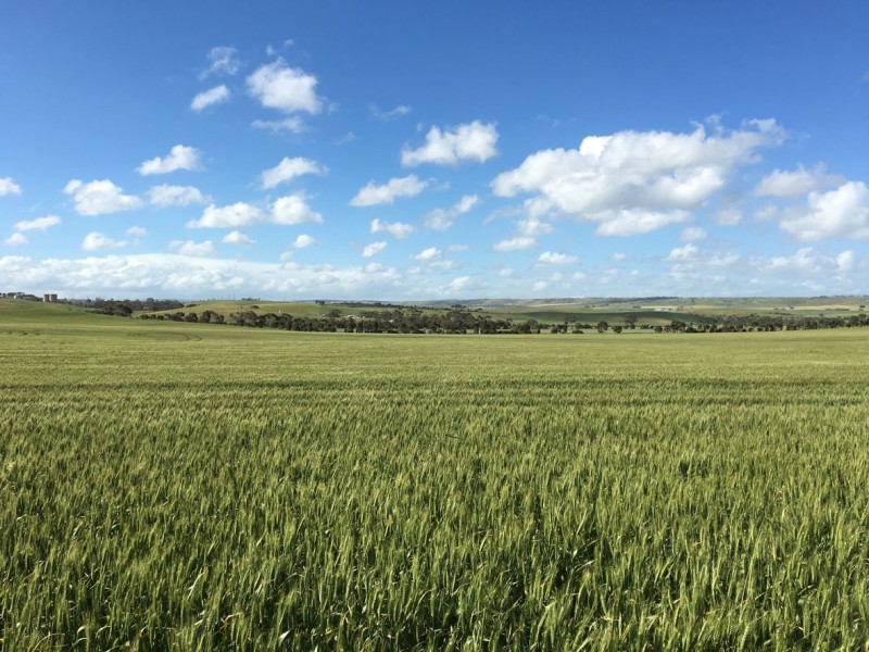 1002 Back Callington Road, Callington SA 5254