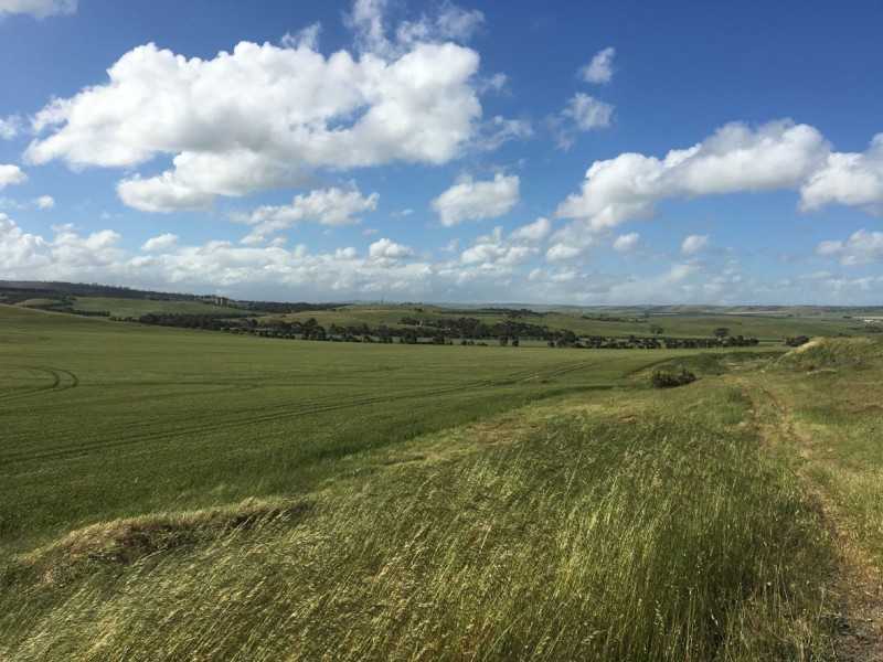 1002 Back Callington Road, Callington SA 5254