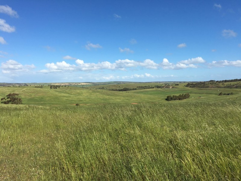 1002 Back Callington Road, Callington SA 5254