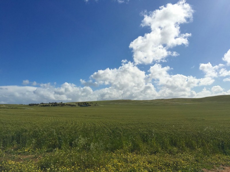 1002 Back Callington Road, Callington SA 5254