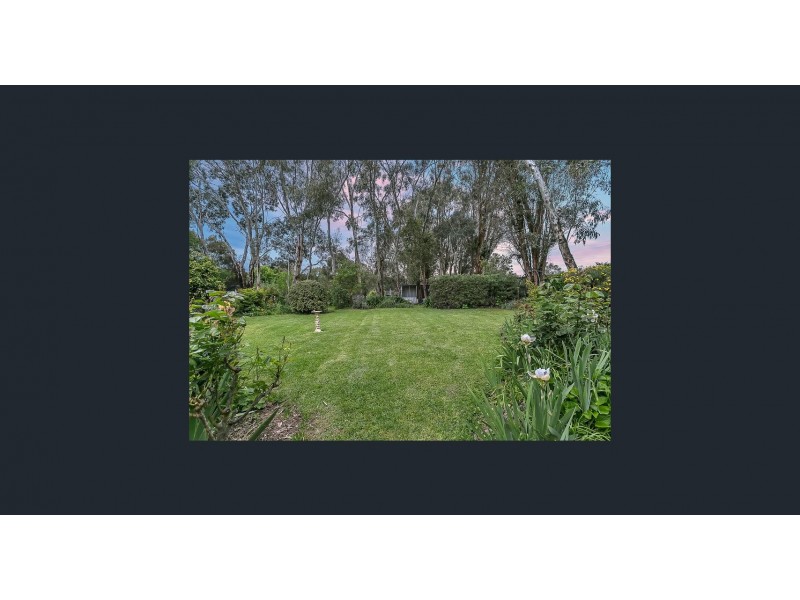 15 Todd Street, Macclesfield SA 5153