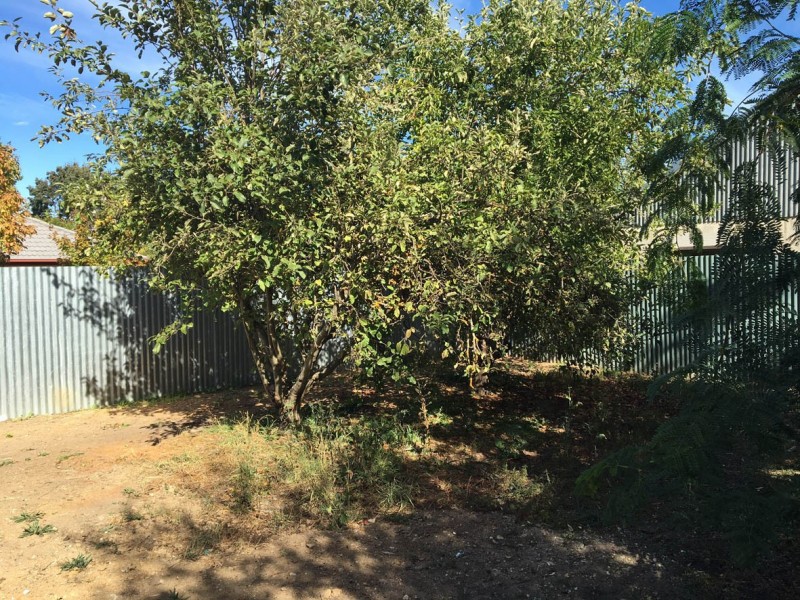 Lot 12 Margaret Street, Woodside SA 5244