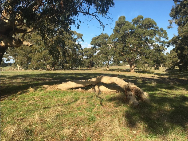 Section 1449 Archer Hill Road, Bugle Ranges SA 5251