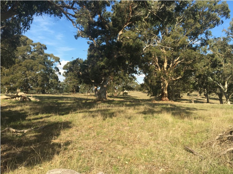 Section 1449 Archer Hill Road, Bugle Ranges SA 5251