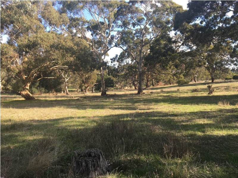 Section 1449 Archer Hill Road, Bugle Ranges SA 5251