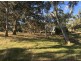 Section 1449 Archer Hill Road, Bugle Ranges SA 5251