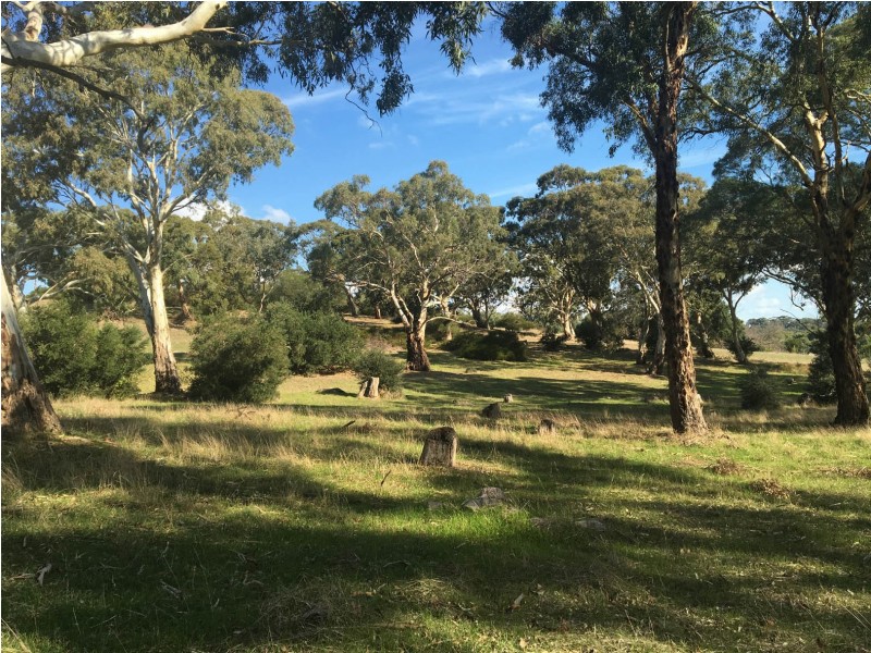 Section 1449 Archer Hill Road, Bugle Ranges SA 5251