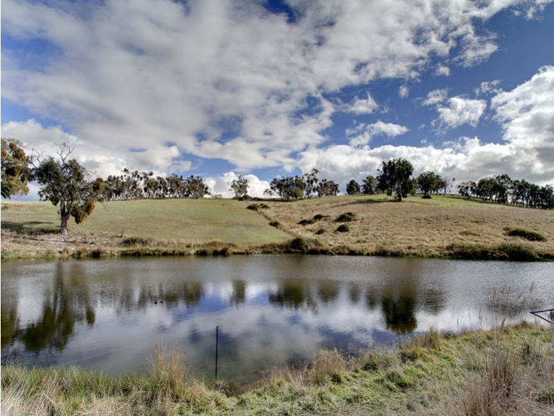 252 Burns Road, Woodside SA 5244