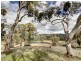 252 Burns Road, Woodside SA 5244