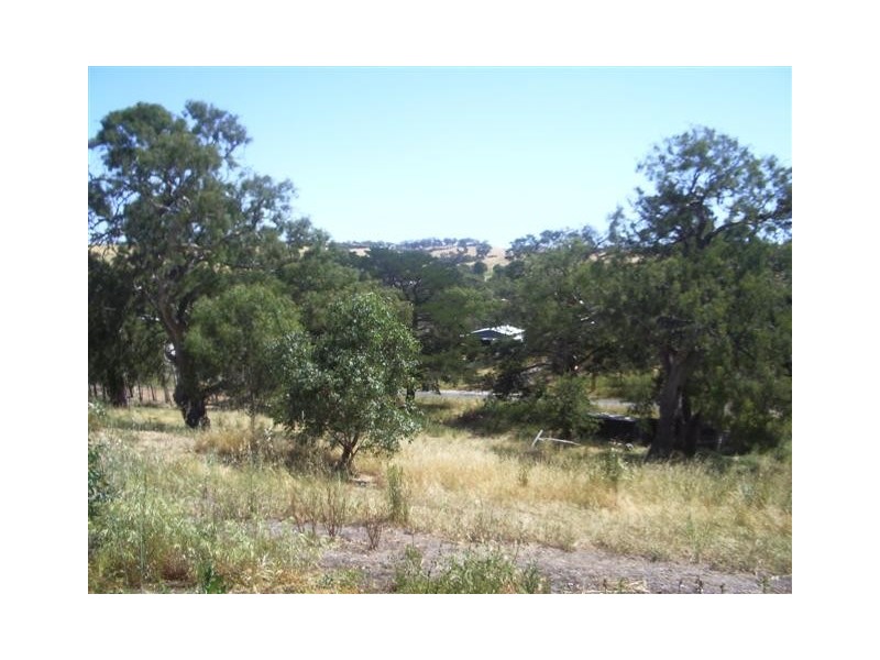 1 Schwab Street, Harrogate SA 5244