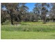 2 Wuttke Road, Mount Barker SA 5251
