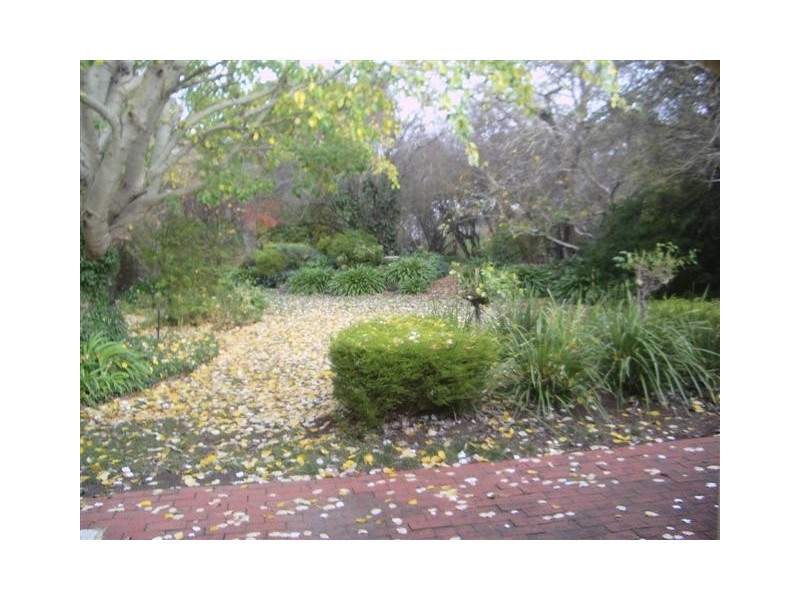 7 Mill Street, Mount Barker SA 5251