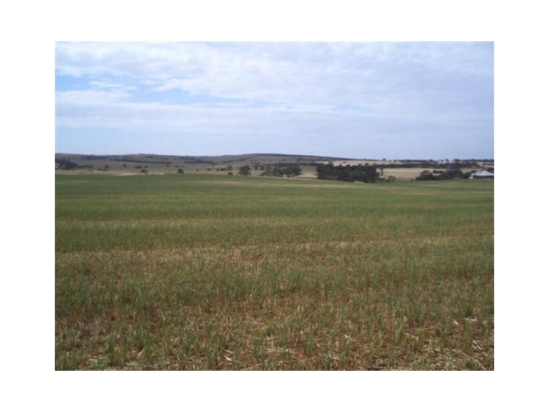 50,51,52 Strathalbyn/Callington Road, Callington SA 5254