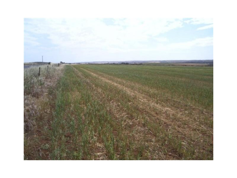 50,51,52 Strathalbyn/Callington Road, Callington SA 5254