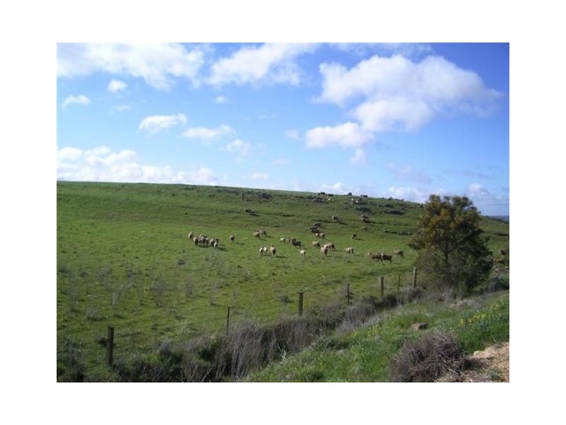Lot 50 Red Creek Road, Callington SA 5254