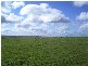 Lot 58-60 End of Bremer Range Road, Callington SA 5254