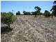 Lot 641 Nursery Road, Kanmantoo SA 5252