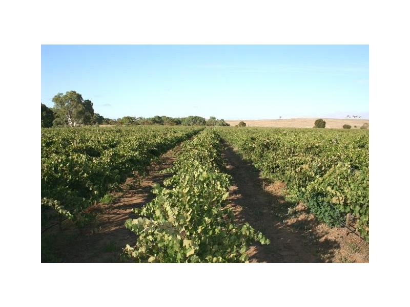 Lot 3 and 13 Chaunceys Line Road, Hartley SA 5255