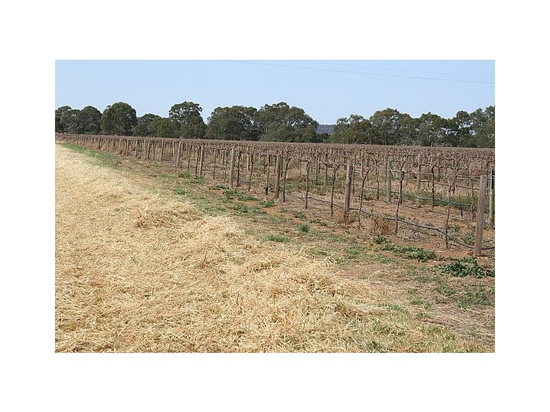 Lot 3 and 13 Chaunceys Line Road, Hartley SA 5255