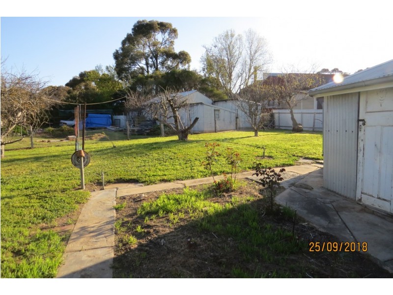 3 Hale Street, Mount Barker SA 5251