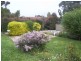 60 Victoria Road, Mount Barker SA 5251