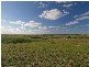 Lot 54 Strathalbyn Road, Callington SA 5254