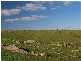Lot 54 Strathalbyn Road, Callington SA 5254