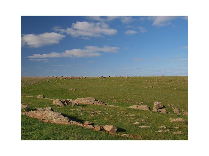 Lot 54 Strathalbyn Road, Callington SA 5254