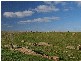 Lot 54 Strathalbyn Road, Callington SA 5254