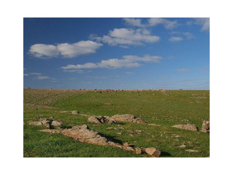Lot 54 Strathalbyn Road, Callington SA 5254